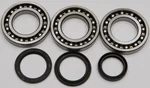 All Balls Racing 25-2076 Drive Differential Bearing & Seal Kit - High-Performance Replacement for Off-Road & Racing Applications
