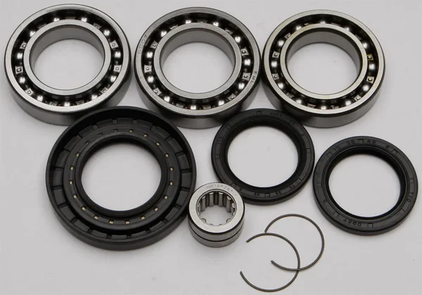 All Balls Racing 25-2079 Differential Bearing & Seal Kit - High-Performance Drive System Replacement