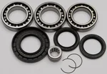 All Balls Racing 25-2079 Differential Bearing & Seal Kit - High-Performance Drive System Replacement