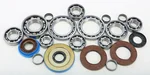 All Balls Racing 25-2084 Differential Bearing & Seal Kit - High-Performance Drive System Replacement