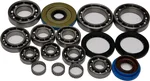 All Balls Racing 25-2087 Differential Bearing & Seal Kit - High-Performance Drive System Replacement