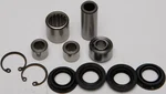 All Balls Racing 50-1029 A-Arm Bearing Kit - High-Performance Suspension Upgrade