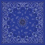 ZAN Bandanna - Durable Headgear for Riders | Stylish & Functional Motorcycle Accessory