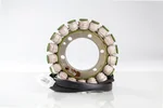 RICKS 21-106 Stator - High-Performance Electrical Component for Powersports Vehicles