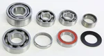 HOT RODS TBK0106 Transmission Bearing Kit - Durable Engine Component for Powersports Vehicles