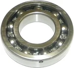 WSM - 010-206 - Crankshaft Bearing
