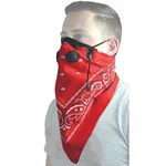 ATV TEK - BDMRED - Pro Series Bandanna Dust Mask
