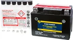 FIRE POWER CTX4L-BS Maintenance-Free Sealed Battery for Powersports Vehicles