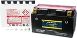 FIRE POWER CTZ10S-BS Maintenance-Free Sealed Battery | Powersports Battery