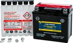 FIRE POWER CTZ7S-BS Maintenance-Free Sealed Battery for Powersports Vehicles