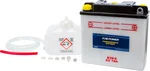 FIRE POWER B39-6 6V Standard Battery with Acid Pack - Reliable Power for Powersports