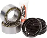 Pivot Works PWFWK-P06-000 Drive Wheel Bearing Kit - Durable, Low Maintenance, High Performance
