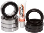 Pivot Works PWFWK-S12-500 Drive Wheel Bearing Kit - Durable, Low-Maintenance, High-Performance
