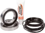 Pivot Works PWRWK-H10-420 Drive Wheel Bearing Kit – Durable, Low Maintenance, High Performance