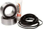 Pivot Works PWRWK-Y67-450 Wheel Bearing Kit - Durable Drive System for Powersports Vehicles