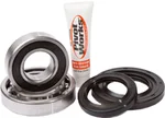 PIVOT WORKS - PWRWK-Y17-030 - Wheel Bearing Kit