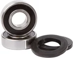 Pivot Works PWRWK-T13-000 KTM Rear Wheel Bearings - High-Quality Drive System Replacement
