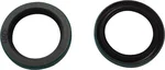 SP1 - SM-03048 - Chaincase Oil Seal