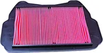 HIFLOFILTRO HFA1709 High-Flow Air Filter for High-Performance Engines