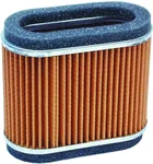 HIFLOFILTRO HFA2906 Air Filter - High-Flow Replacement for Power Sports Engines