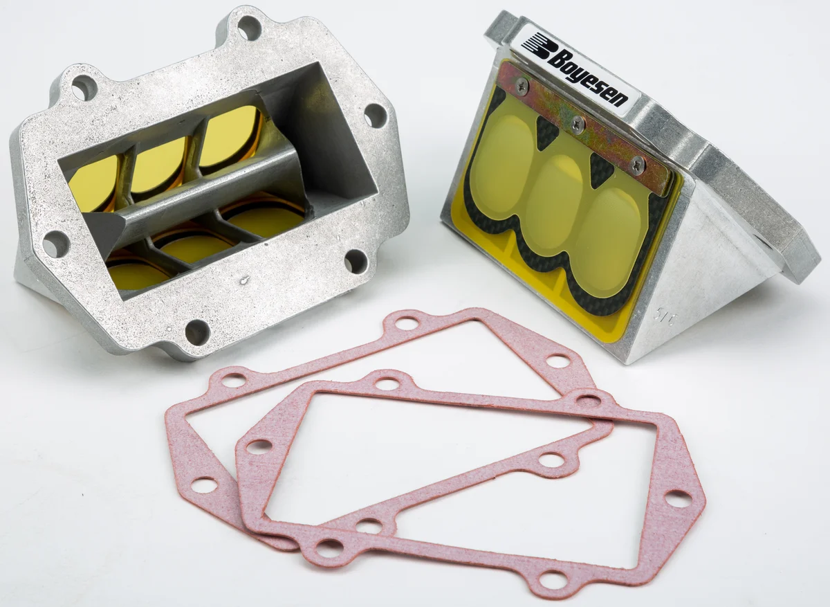 BOYESEN - RAD51C-2 - Rage Cage