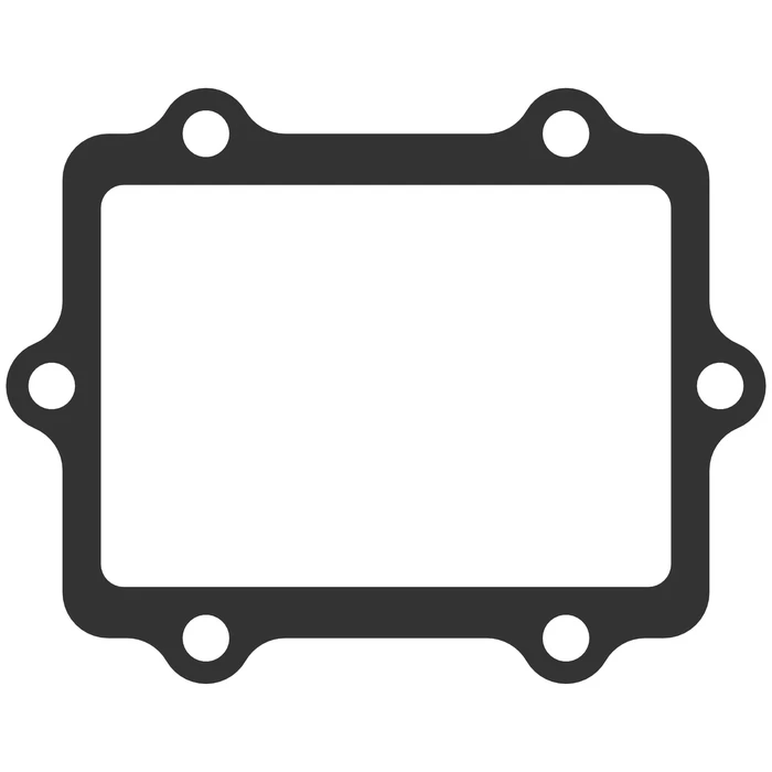 MOTO TASSINARI G09 Reed Valve Gasket - High-Performance Intake System Replacement