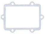 Vertex 717252 Intake/Reed Valve Gasket - High-Performance Fuel System Replacement