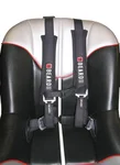 BEARD - 880-220-01 - Safety Harness