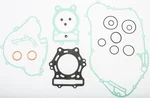 ATHENA Complete Gasket Kit for Powersports - Premium Sealing Solution