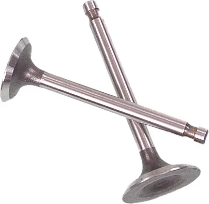 SHINDY 07-208 Valve Set - High-Quality Stainless Steel OEM Replacement for Engine Performance