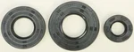 Vertex 622201 Crankshaft Seal Kit - High-Quality Gasket Seal for Powersports Engines