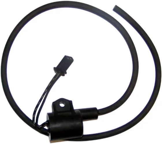 WSM - 004-192-26 - Ignition Coil