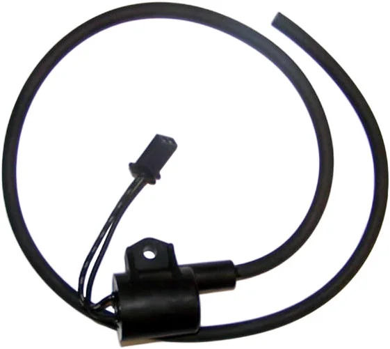 WSM - 004-192-26 - Ignition Coil
