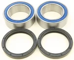 ALL BALLS - 25-1663 - All Balls Wheel Bearing Kits