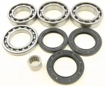 ALL BALLS - 25-2101 - Differential Bearing & Seal Kit