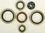 VERTEX - 822370 - Oil Seal Kit