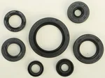 VERTEX - 822690 - Oil Seal Kit