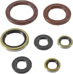 VERTEX - 822372 - Oil Seal Kit
