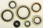 VERTEX - 822976 - Oil Seal Kit