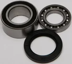 All Balls Racing 14-1011 Chaincase Bearing & Seal Kit - High-Quality Drive Component for Powersports