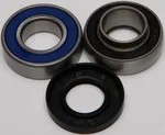All Balls Racing 14-1019 Chaincase Bearing & Seal Kit - Durable Drive System Replacement