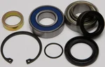 All Balls Racing 14-1039 Chaincase Bearing & Seal Kit - Durable Drive System Replacement