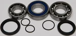 All Balls Racing 14-1050 Chaincase Bearing & Seal Kit - High-Performance Drive Component