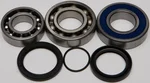All Balls Racing 14-1051 Chaincase Bearing & Seal Kit - Durable Drive System Replacement