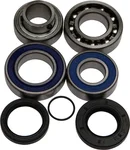All Balls Racing Chaincase Bearing & Seal Kit - Durable Drive System Replacement