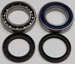 All Balls Racing 14-1065 Chaincase Bearing & Seal Kit - Durable Drive System Replacement