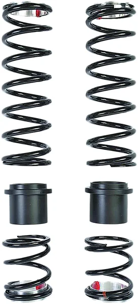 ZBROZ - 101-G4-S36-AGG - Dual Rate Spring Kit