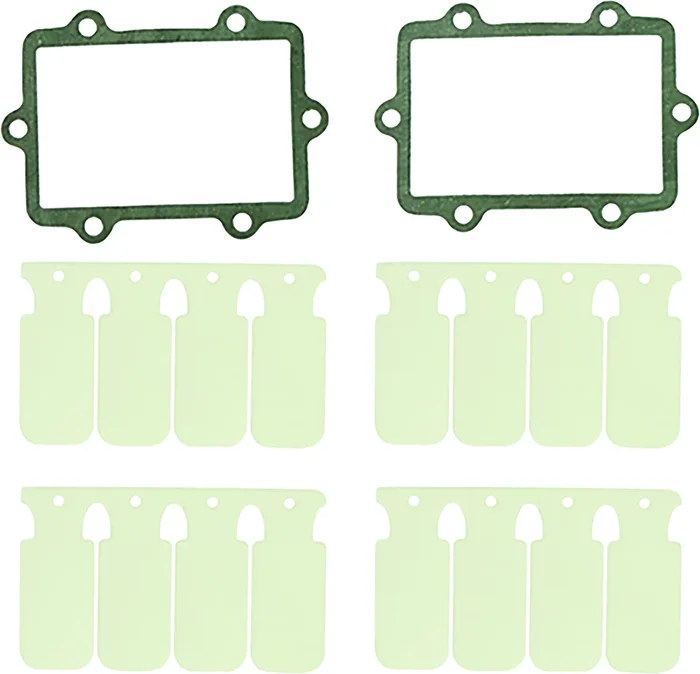 SP1 - SM-07301 - Reed Valve Rebuild Kit