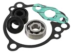 HOT RODS - WPK0030 - Water Pump Kit