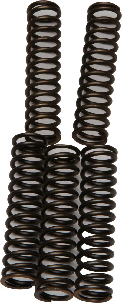 EBC CSK110 Redline Clutch Springs - High-Performance Clutch Kit for Powersports Vehicles